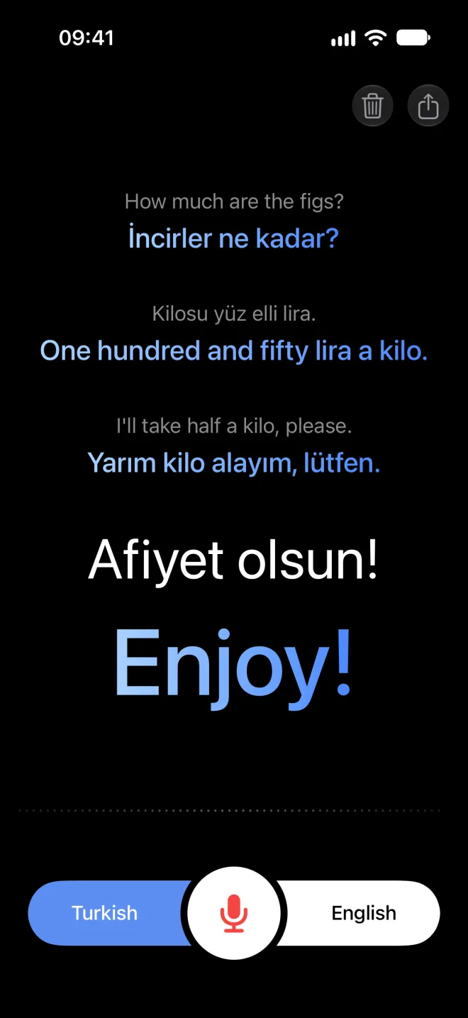 A conversation in Turkish and English at a market